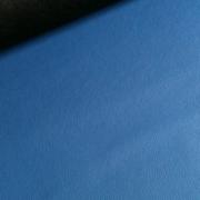 IMG_1375.jpg